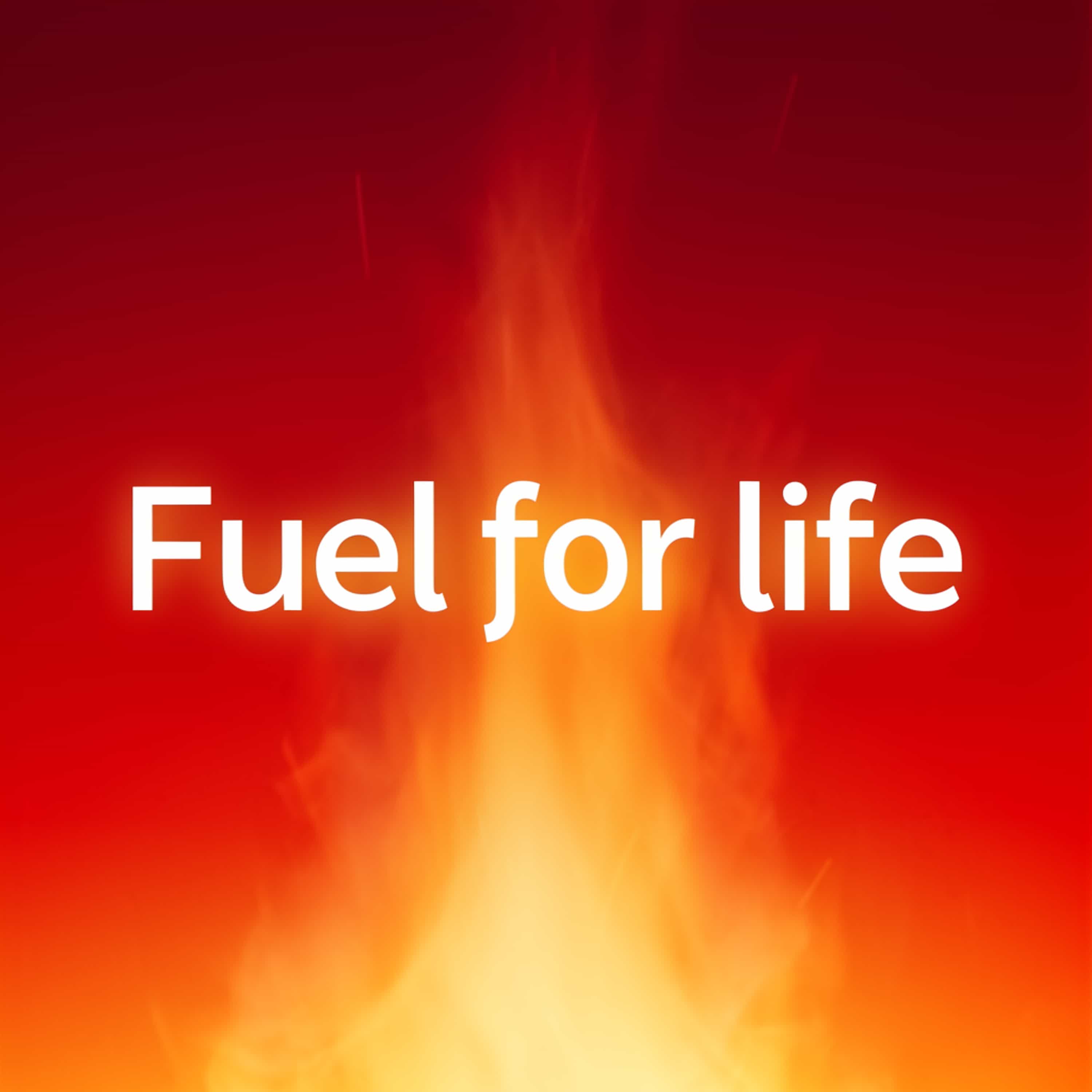 Energy-Essential for living and aging well, Step By Step guidance